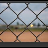Ways to Cover a Chain-link Fence